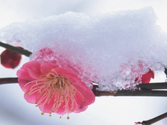 13 - 당신은....! 누구시더라(5)