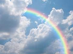 무지개 활짝 핀날