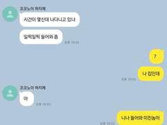 [도리벤 드림 ] 코코노이 남바투 씨 .talk 3