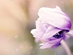 채 시아 / 17 / XX