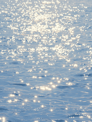 내 청춘엔 네 이름만