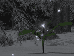 숲을 가꾸는 자