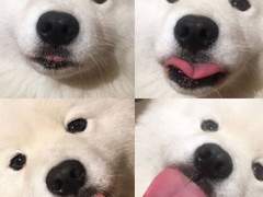 우리애가 수인이라는데..... 1