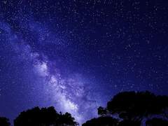 호시 미즈키 / 19 / 선도부