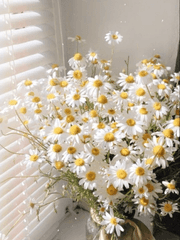 원수는 인터넷에서 만난다