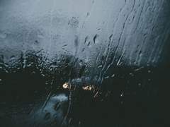 [코하이코] 시선의 끝