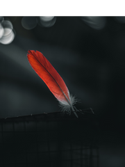 네 나이가 어때서