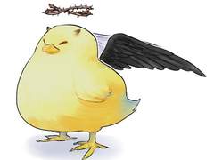 6c4행성 주민 펫(Pet)