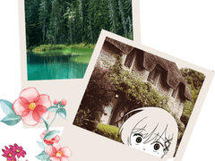 To. 체스터 쉬플리