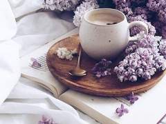 동쪽 탑/디아 체르페/8