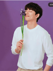 디스플레이 부부