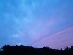 마음의 숨바꼭질