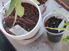 나에게일어나고있는일