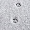 𝐻𝐴𝑃𝑃𝑌 𝐼𝐶𝐸 𝐶𝑅𝐸𝐴𝑀