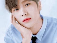 [쥬밀]피라미드