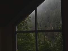 보이지 않는 빛.