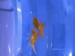 죽고 싶은 여자와 살고 싶은 남자 01