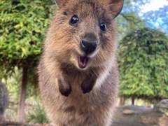 후회를 안고 살아가는 것