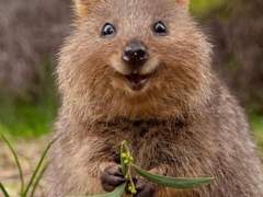 꽃뱀한테 물린썰