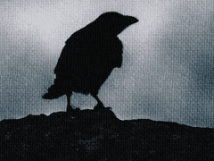 To. 카트리나 F. 레이븐