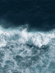 자업자득 나페스