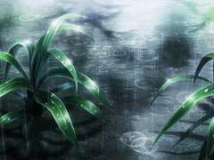 [하이큐 드림] 다정한 사람 下