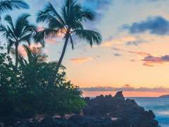 Dreamy★Wedding March! ~꿈꾸다 만난 그대와의 꿈결 같은 신혼기~