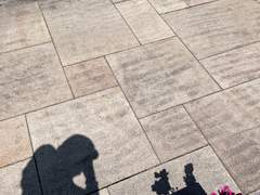 그림자가 꽃향기를 맡는 법.