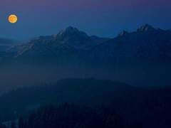 당신을 위해 바치는 어느 죄인의 고해.