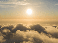 하이로그:天流月