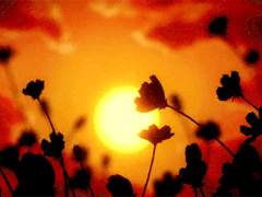 하늘의 믿음을 사랑해라.