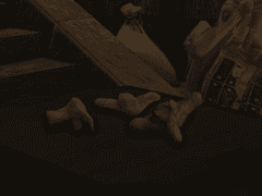 짐승은 죽어서 뼈를 남긴다