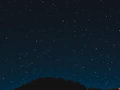 시간선 넘어간 밤하늘, 다색결이 제 흑색에 담아본다