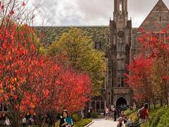 일주의 사랑 - 외전 上