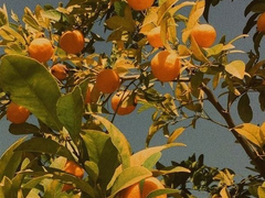 2. 읽다 덮은 책들도 읽은 책만큼이나 도움이 된다