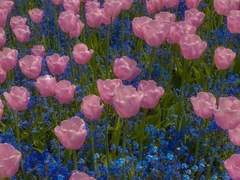 나의 두번째 사람에게