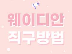 *ଘ(੭*ˊᵕˋ)੭* ੈ✩‧₊˚ 중국 솜인형 직구하는 방법 (웨이디엔 직구)