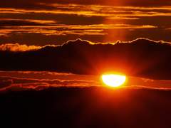 [칼릭스 레오 테오도르/남/무기/공작/제1황자파]