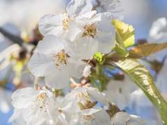 만약에 당신을 만났더라면 내 죽음에 정당성을 부여할 수 있었을까