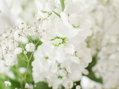 안내받은 길을 따라 나아가며