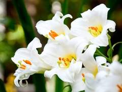 당신이 죽고 난 뒤에.