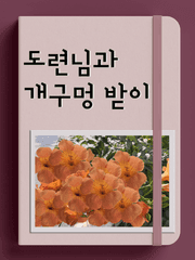 도련님과 개구멍받이(4/6일 출간)