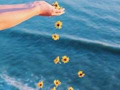 슬픔의 바다에 해바라기를 뿌린다.