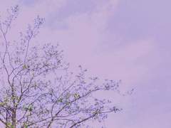 사라지는 것들은 뒤에 여백을 남긴다는 말