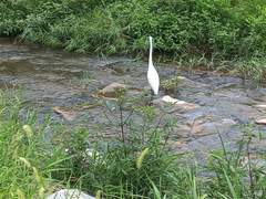 참! 산다는 게 그렇네요!