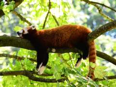 엔시티 맏내 여주 ssul #IF