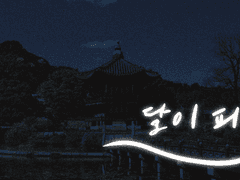 달이 피워낸 연(蓮)