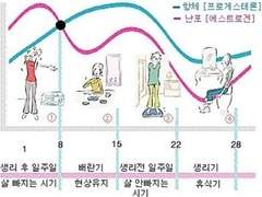 3-8 다음달부터 진짜 갓생살고 싶다면 읽어야 하는 글 (여자 한정 방법, 월별 계획 짜는 팁)