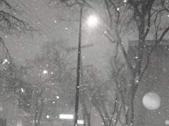 戀戀不忘 연연불망