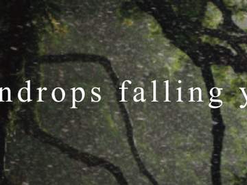 raindrops falling you